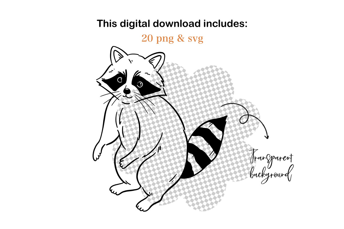 Hand-Drawn Raccoon Clipart PNG SVG, an Animal Illustration by ArtGiftsStudio (Photo 5 of 5)