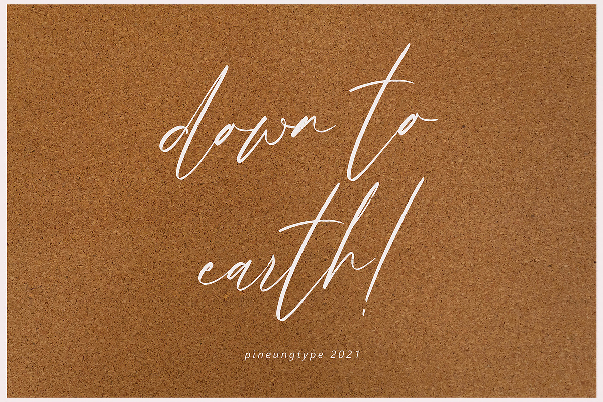 Sarfianto, a Script Font by pineungtype (Photo 8 of 10)