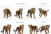 Cheetah Clipart, Wild Cat, Cheetah, an Animal Illustration by BrushstrokeArtGB (Thumbnail 2 of 9)
