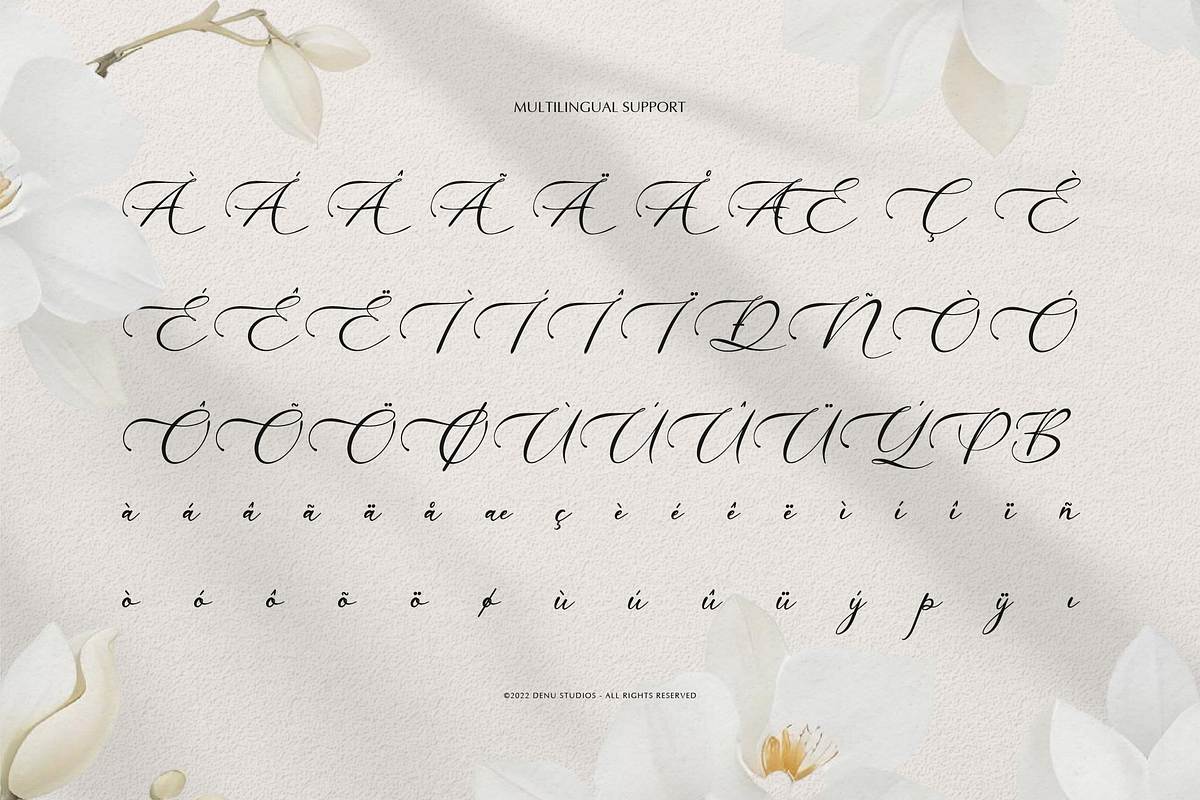 Willsyard | Modern Calligraphy, a Script Font by Denustudios (Photo 12 of 12)