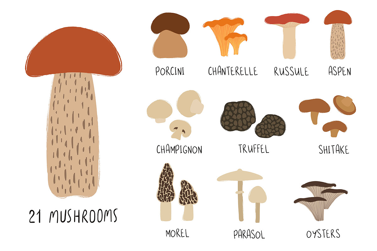 Go for Mushrooms. Forest Collection., a Food Illustration by Annakniaz (Photo 2 of 11)