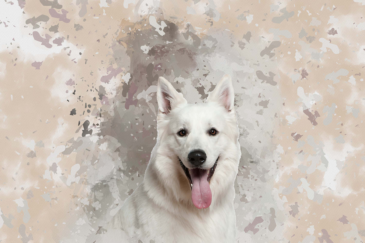 Personalized Digital Pet Portraits, an Action Add-On by MRI STUDIO (Photo 10 of 13)