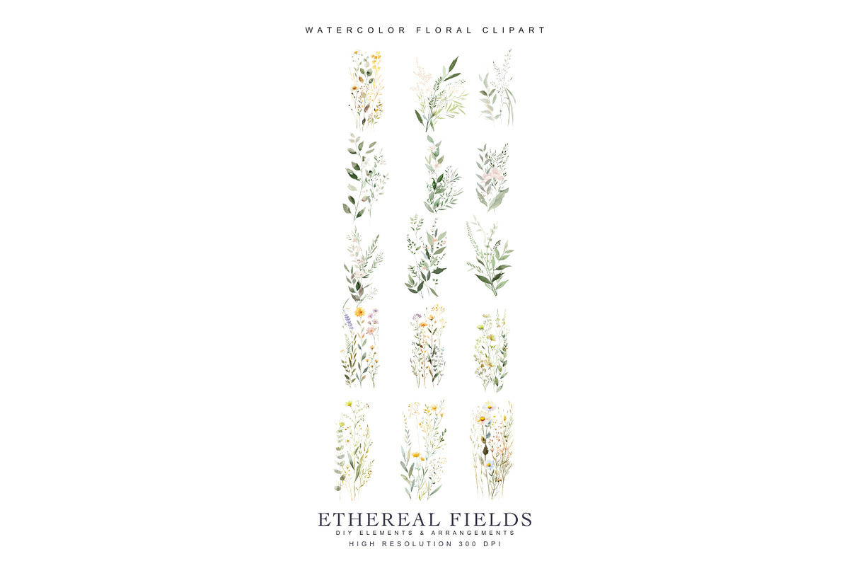 Watercolor Delicate Wildflowers, a Decorative Illustration by Patishop Art (Photo 7 of 7)
