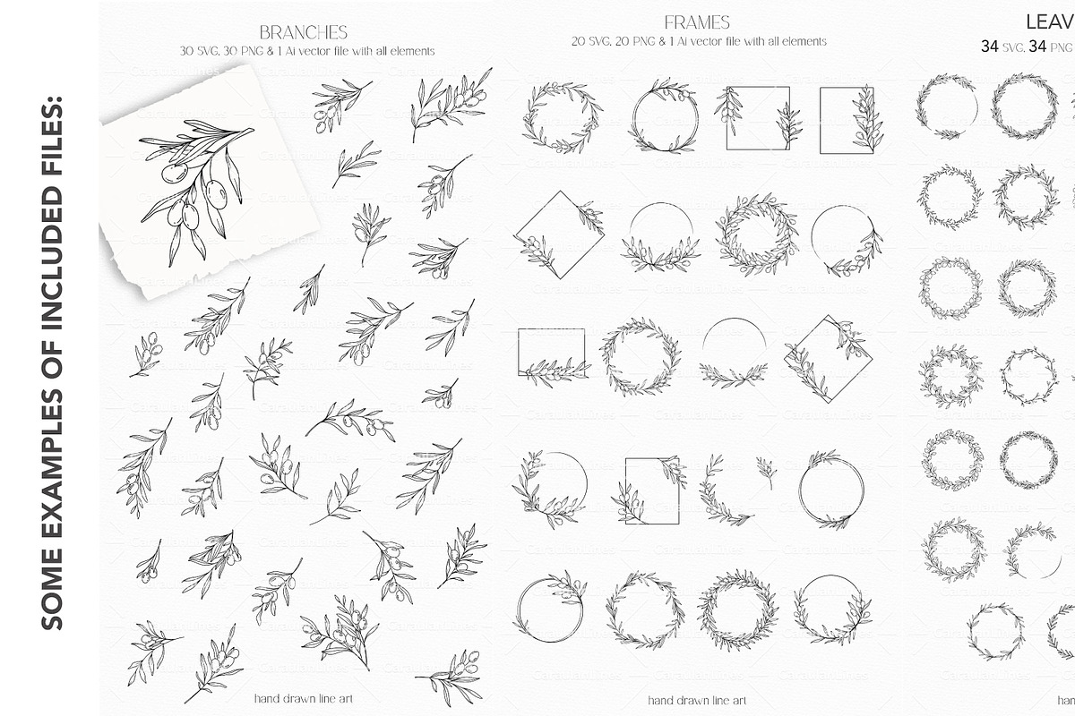 Floral Line Art Bundle 700+, an Illustration by CaraulanStore (Photo 6 of 7)