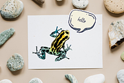 Frogs Watercolour Set, an Education Illustration by Tati Bordiu (Thumbnail 5 of 5)