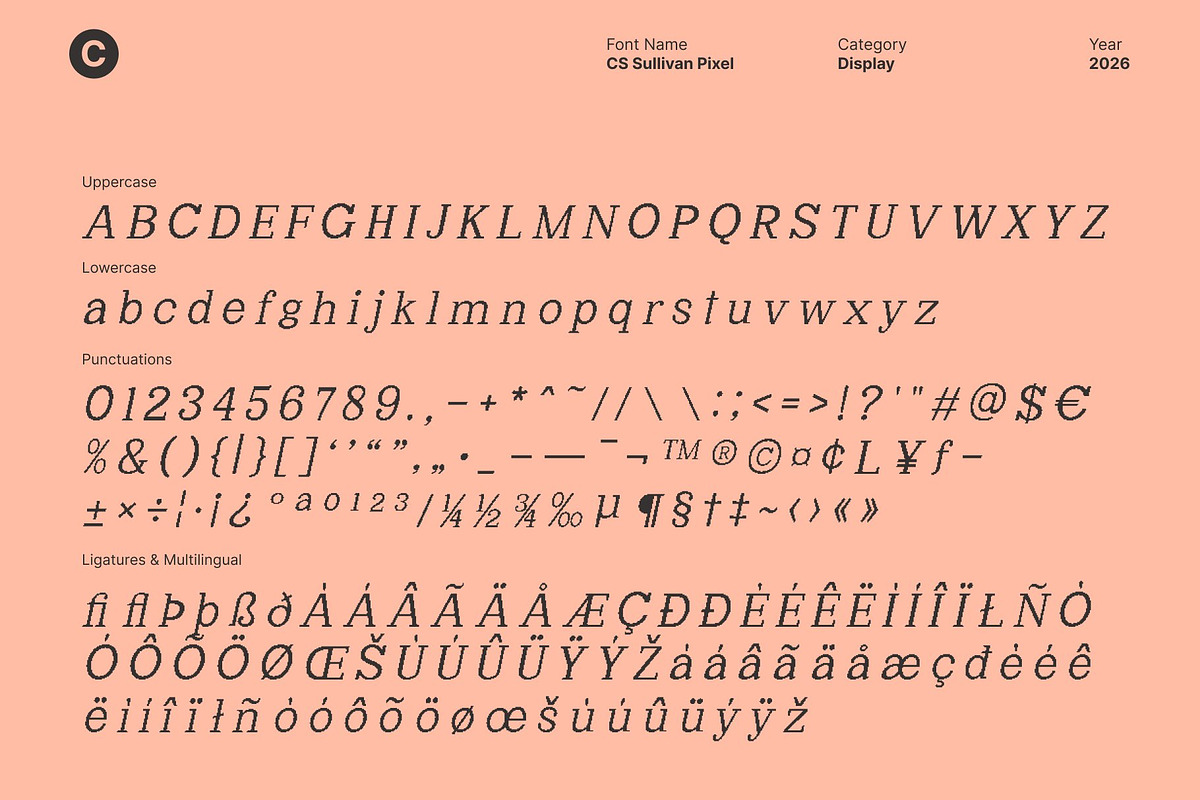 CS Sullivan Pixel, a Serif Font by Craft Supply Co. (Photo 8 of 8)