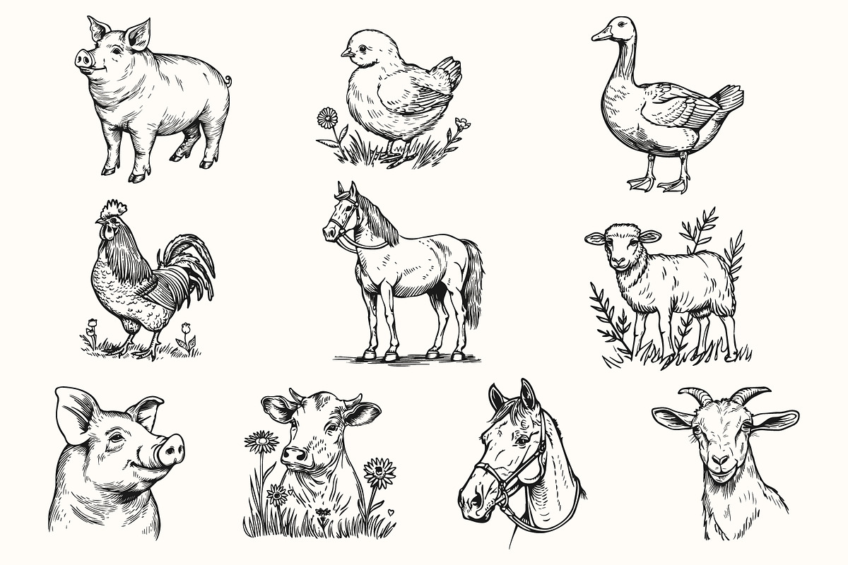 Farm life illustration set, an Object Graphic by NatalieArtShop (Photo 3 of 10)