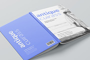 Sallona - Variable Sans Serif Font, a Sans Serif Font by MasaType (Thumbnail 6 of 10)