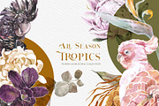 Watercolor & Digital Bundle Part II, an Animal Illustration by Cat In Colour (Thumbnail 21 of 30)