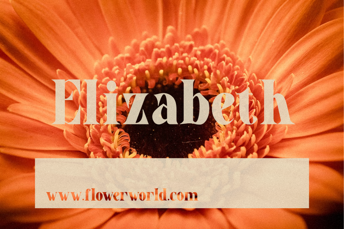 Alextus Serif, a Serif Font by Typegoals Studio (Photo 4 of 6)