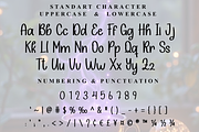 Memorial, a Script Font by FreshTypeINK (Thumbnail 7 of 8)
