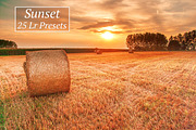 1001 Lightroom Collection, an Action Add-On by ArtPlanet (Thumbnail 23 of 31)