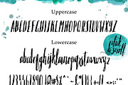Saltywaters Type Script -20% OFF, a Script Font by Creativeqube Design (Thumbnail 2 of 6)