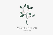 Mistletoe. Watercolor and graphic., a Decorative Illustration by ma_i_vi (Thumbnail 3 of 13)