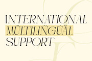 Govhie Deries Aesthetic Elegant, a Serif Font by Typetemp Studio (Thumbnail 9 of 11)
