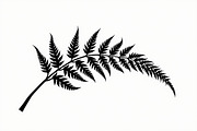 Elegant Fern Leaf Silhouette Bundle, an Illustration by Designs_River (Thumbnail 8 of 9)