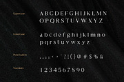 Seraphile Elegant Serif Font, a Serif Font by Vadovastd (Thumbnail 2 of 7)
