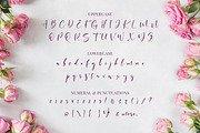Saturated - Beautiful Script Font, a Script Font by Almarkhatype (Thumbnail 9 of 12)
