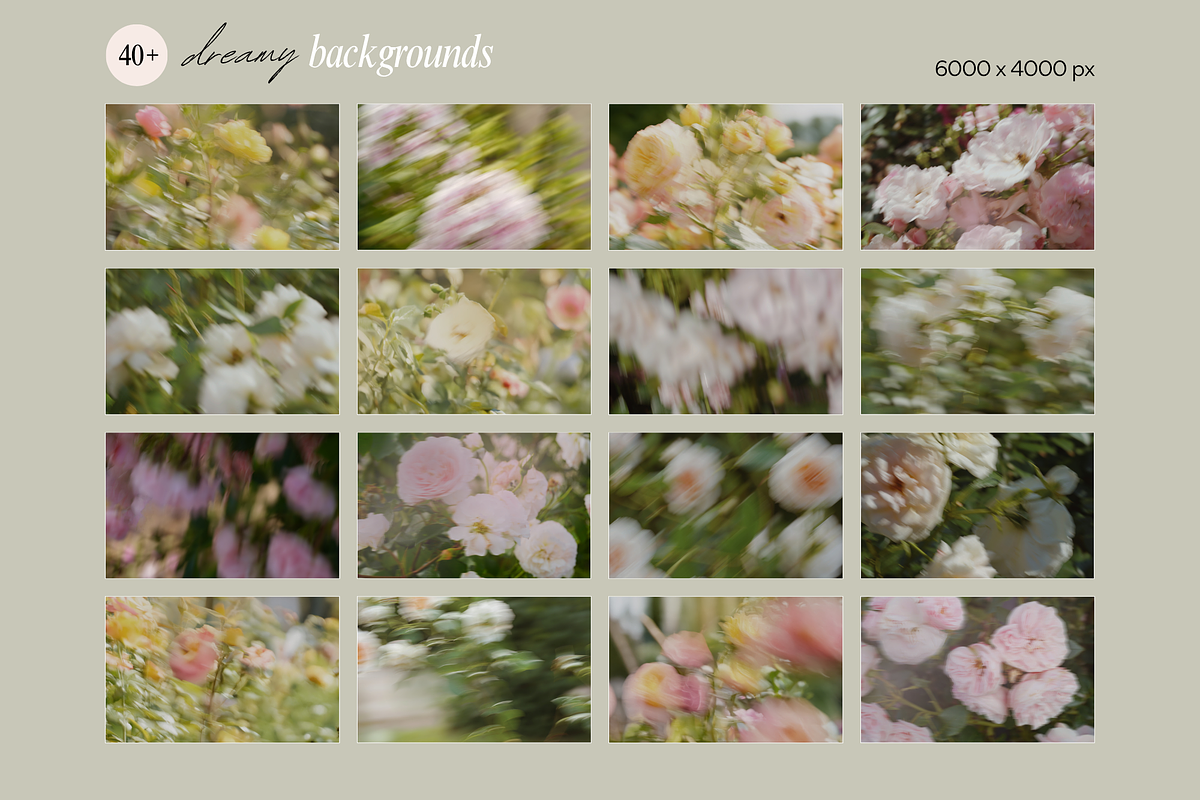 Delicate Blurry Floral Backgrounds, a Background Graphic by eclosque (Photo 29 of 31)