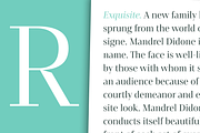 Mandrel Didone, a Font by insigne (Thumbnail 3 of 5)