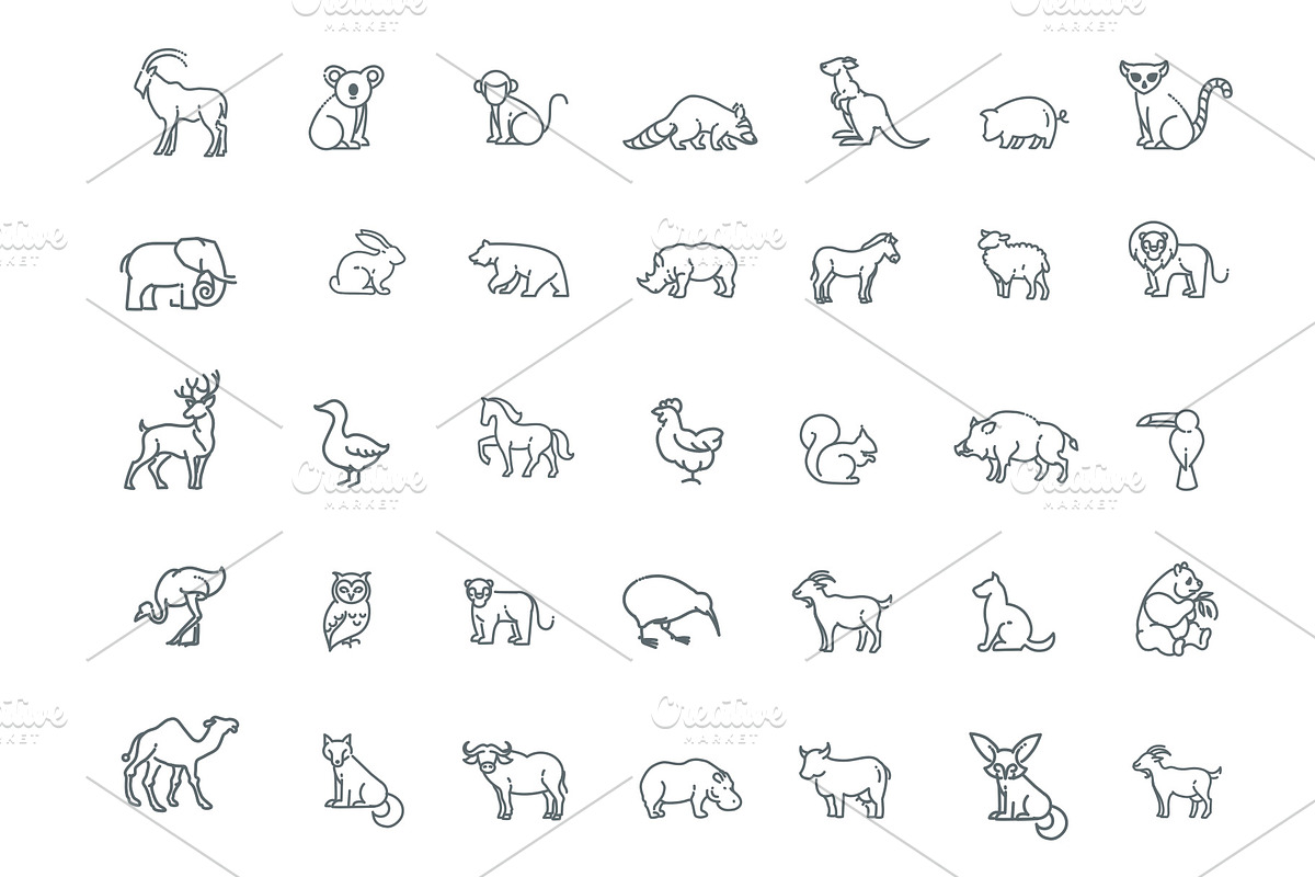 Vector icons. Zoo. Animals, an Outline Icon by Tettygreen (Photo 1 of 2)