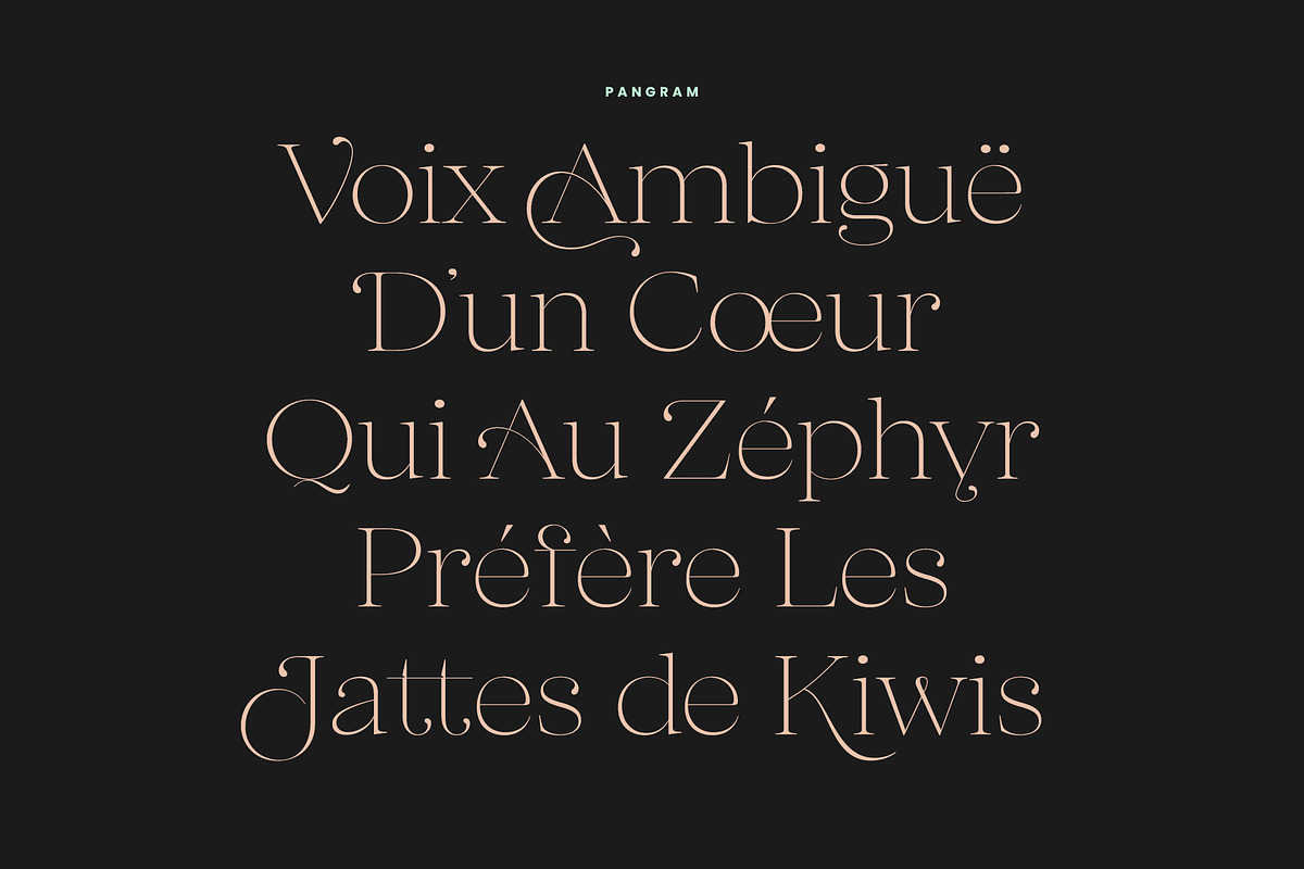 Calaviori - Display Serif, a Serif Font by Hindia Studio (Photo 2 of 12)