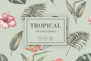 50% OFF! Tropical  jungle, a Pattern Graphic by Kotkoa (Thumbnail 1 of 11)