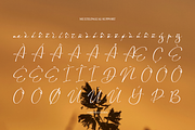 Astelafisa | Classic Signature Font, a Script Font by Denustudios (Thumbnail 12 of 12)