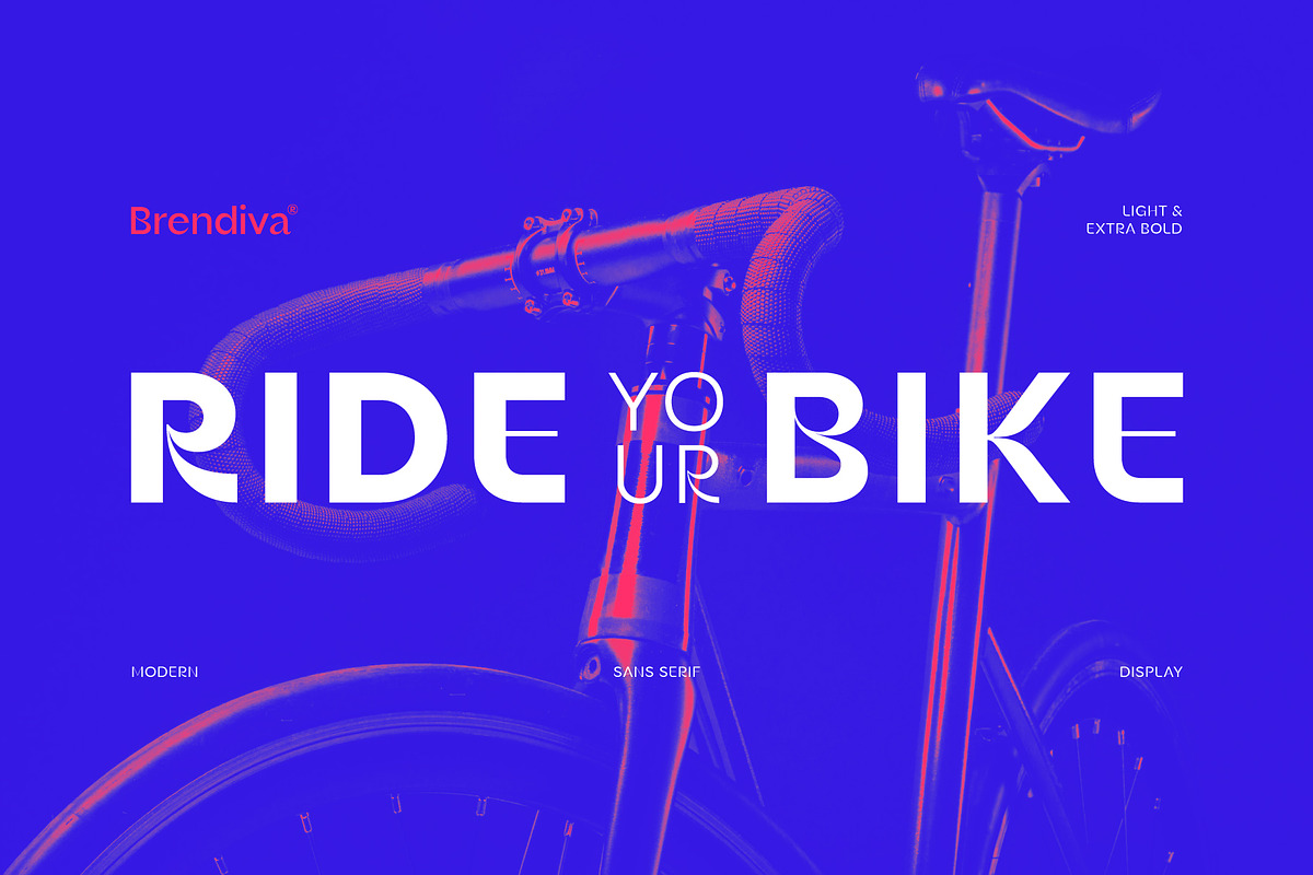 Brendiva Font Family, a Sans Serif Font by Digitype Studio (Photo 5 of 10)