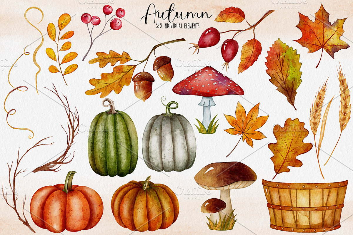 Autumn Watercolor Pumpkin Clipart, an Illustration by LuiDesignStudio (Photo 2 of 4)