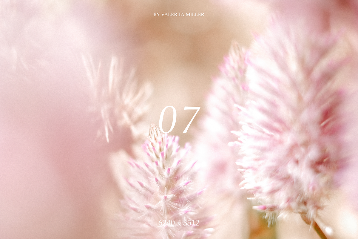 10 NATURAL BACKGROUNDS, a Background Photo by Valeriia Miller (Photo 8 of 11)