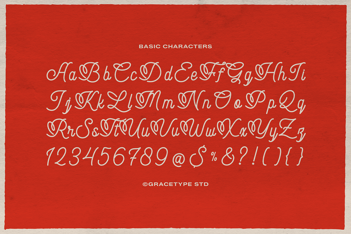 Audley Ipswitch | Monoline Script, a Script Font by gracetype_studio (Photo 10 of 12)