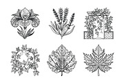 Elegant Plants and Flowers, an Icon by Vector Portal (Thumbnail 4 of 4)