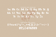 Ravestro - A Modern Serif Typeface, a Serif Font by overlaytemplates (Thumbnail 4 of 5)