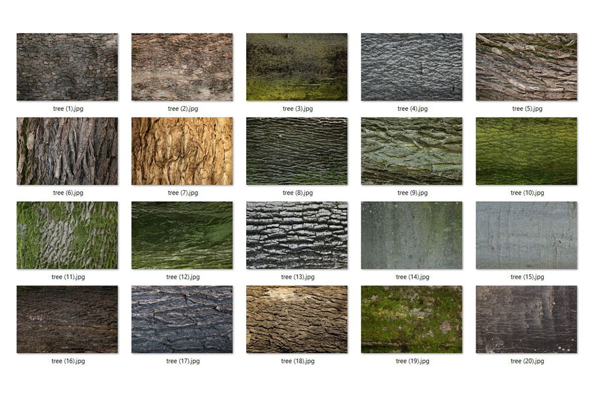 20 Tree Bark Texture, a Texture Graphic by CCPreset (Photo 2 of 3)