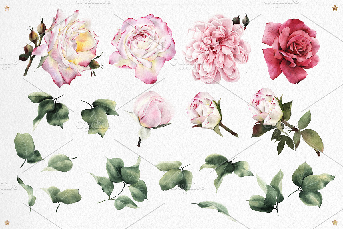 Roses set, a Decorative Illustration by ollalya (Photo 2 of 4)