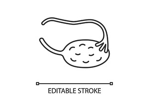 Ovary And Fallopian Tube Linear Icon