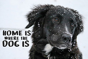 SnowUP Brush Font, a Font by Pxlhead (Thumbnail 5 of 6)