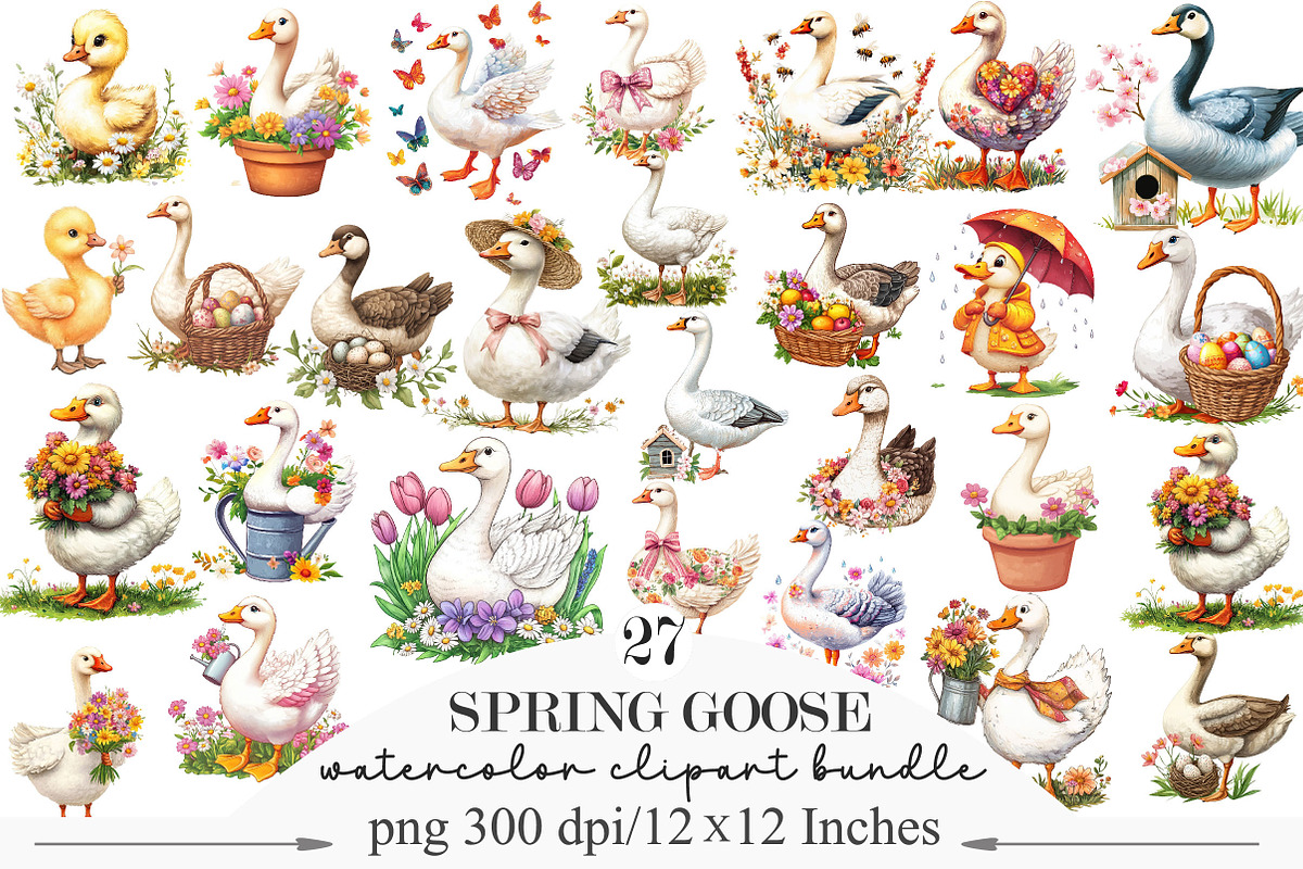 Spring Goose Clipart PNG, an Illustration by Designking (Photo 1 of 5)