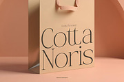 Cresta Soura - Serif Family Font, a Serif Font by Flawless And Co (Thumbnail 4 of 10)