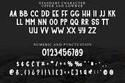 Sample Stacked, a Serif Font by InermediaSTUDIO (Thumbnail 5 of 8)