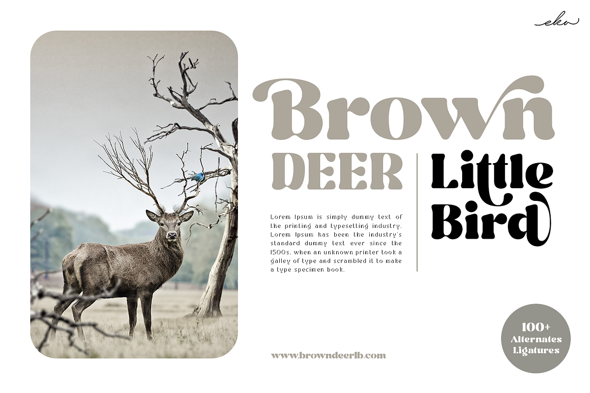 Rottran - Rounded Display Serif Font, a Serif Font by Ekahermawan (Photo 5 of 12)