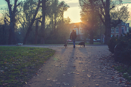 Girl running stock photo containing jogger and female preview 6