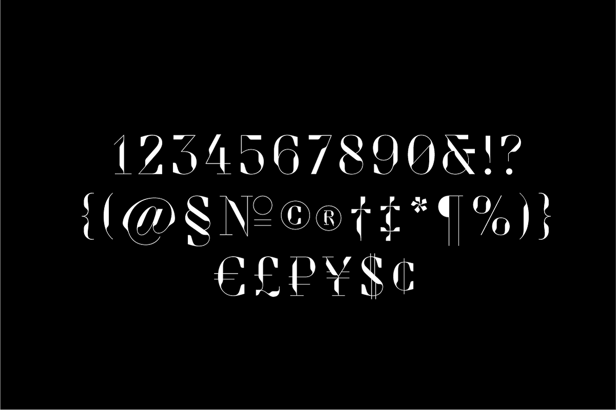 Drongo Font, a Serif Font by Yury Veselov (Photo 5 of 12)