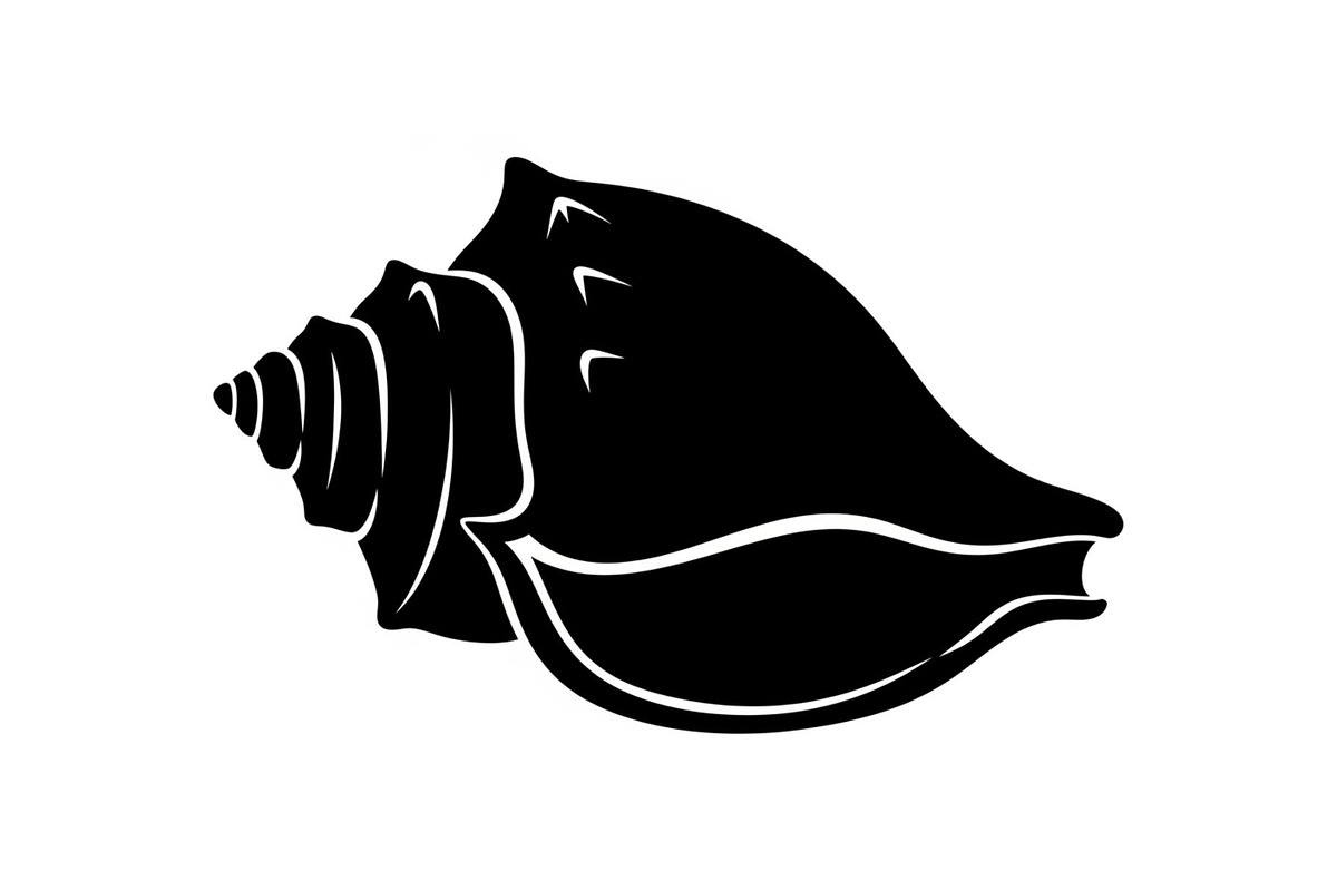 Shell Silhouette Vector Bundle, an Illustration by hafijul (Photo 27 of 48)