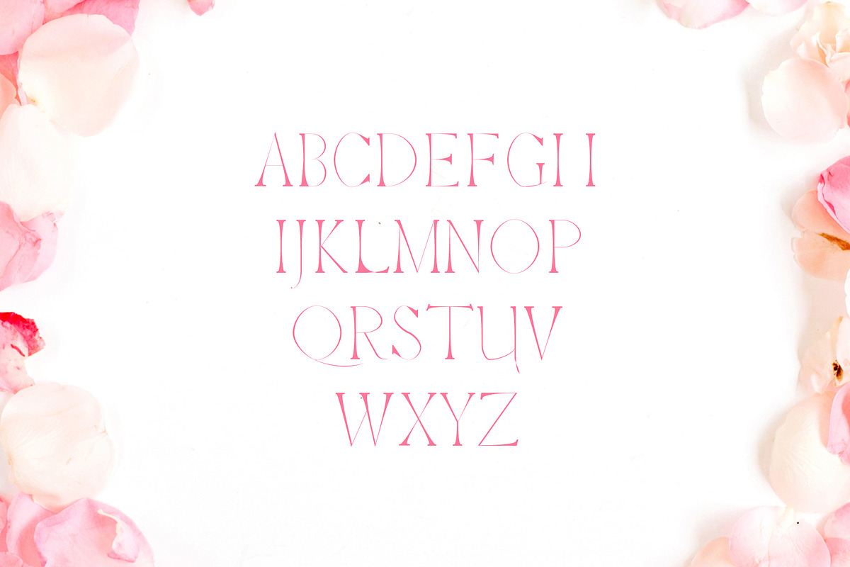 Haana Slab Serif Duo Font preview 3