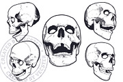 Vintage Vector Skulls Pack, a Decorative Illustration by Vecster (Thumbnail 3 of 6)