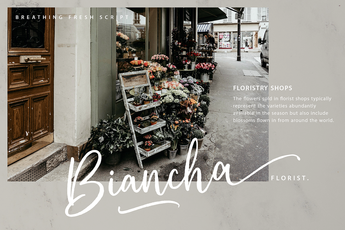 Breathing Fresh Script, a Script Font by sizimon (Photo 3 of 10)