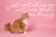 Just Quoting | A Script Font, a Script Font by Colllab Studio (Thumbnail 12 of 24)