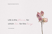 Bulgary Rose Signature Script Font, a Handwritten Font by Heinzel Std (Thumbnail 16 of 20)
